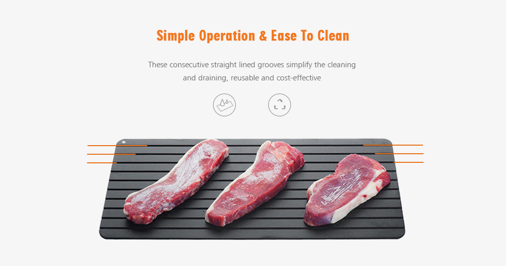 Kitchen Thaw Meat Frozen Food Safety Tool Fast Defrosting Tray